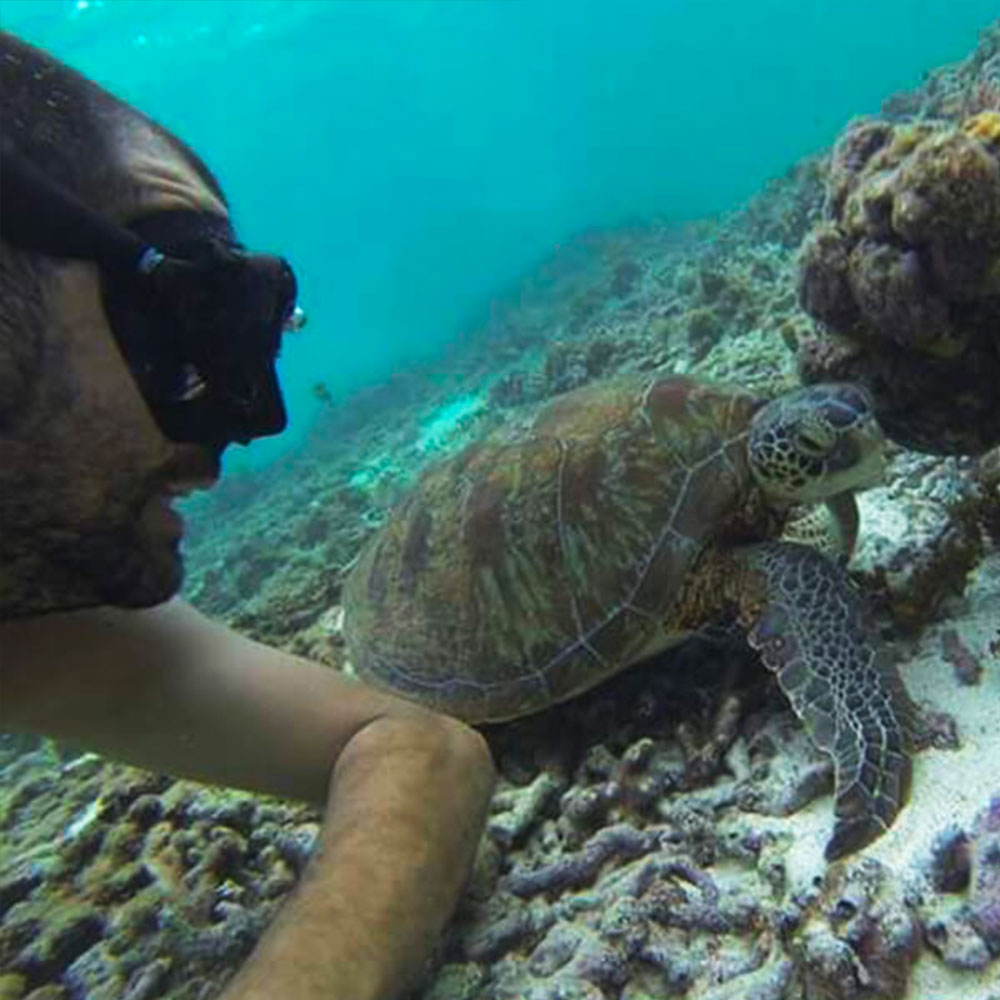 Snorkeling tortue love mg by lakabane